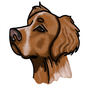 Sokan Talli/ Sekatavara.com Toivala